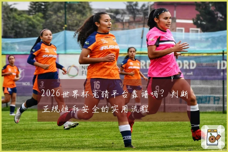 2026世界杯竞猜平台靠谱吗？判断正规性和安全的实用流程