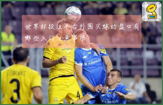 世界杯投注平台外围买球的盘口有哪些入门注意事项