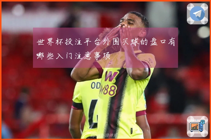 世界杯投注平台外围买球的盘口有哪些入门注意事项