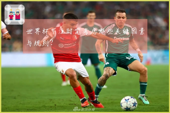 世界杯下注时需考虑哪些关键因素与规则？