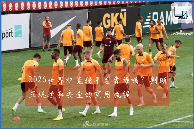 2026世界杯竞猜平台靠谱吗？判断正规性和安全的实用流程