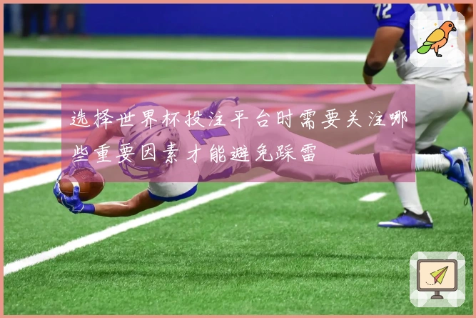 选择世界杯投注平台时需要关注哪些重要因素才能避免踩雷