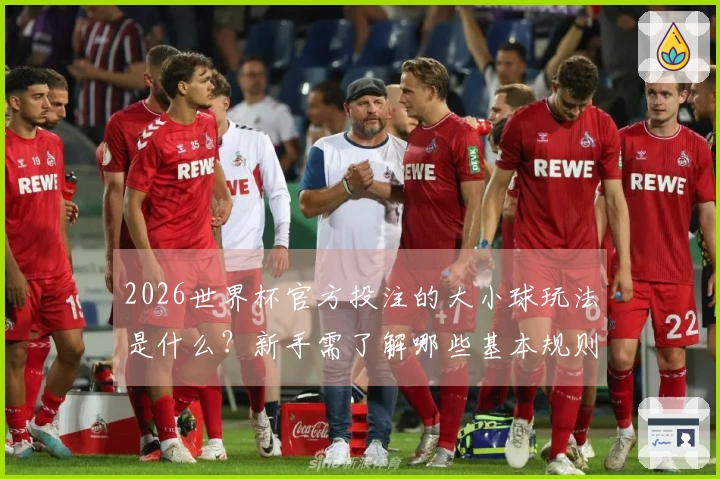 2026世界杯官方投注的大小球玩法是什么？新手需了解哪些基本规则？